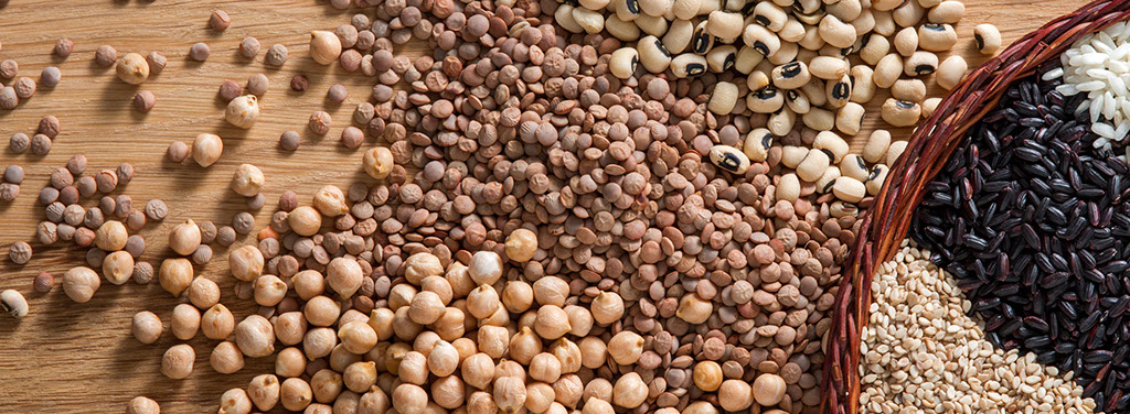 Variety of cereals, pulses and oilseeds