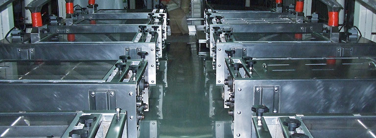 Sorting equipment for peanut processing